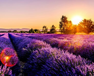 Votre guide complet pour trouver un chiropracteur à Salon-de-Provence