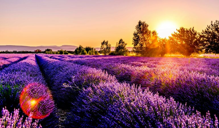 Votre guide complet pour trouver un chiropracteur à Salon-de-Provence