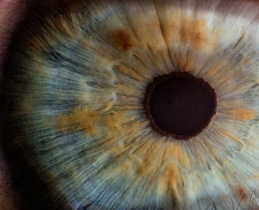 Soigner la Cataracte sans Opération : Mythes, Réalités et Solutions pour Votre Vision
